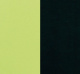 Green Seat - Black Intervene Color