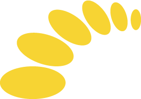 Sunflower Medical Logo